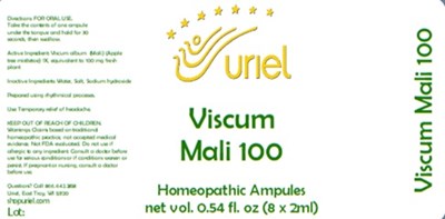Viscum Mali 100 Ampules.jpg Viscum Mali 100 Ampules - Viscum Mali 100 Ampules